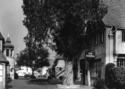 The northern view of Crossroads' Continental Village. The large eucalyptus tree fell into the Crossroads parking lot during the heavy rains of December 2005.